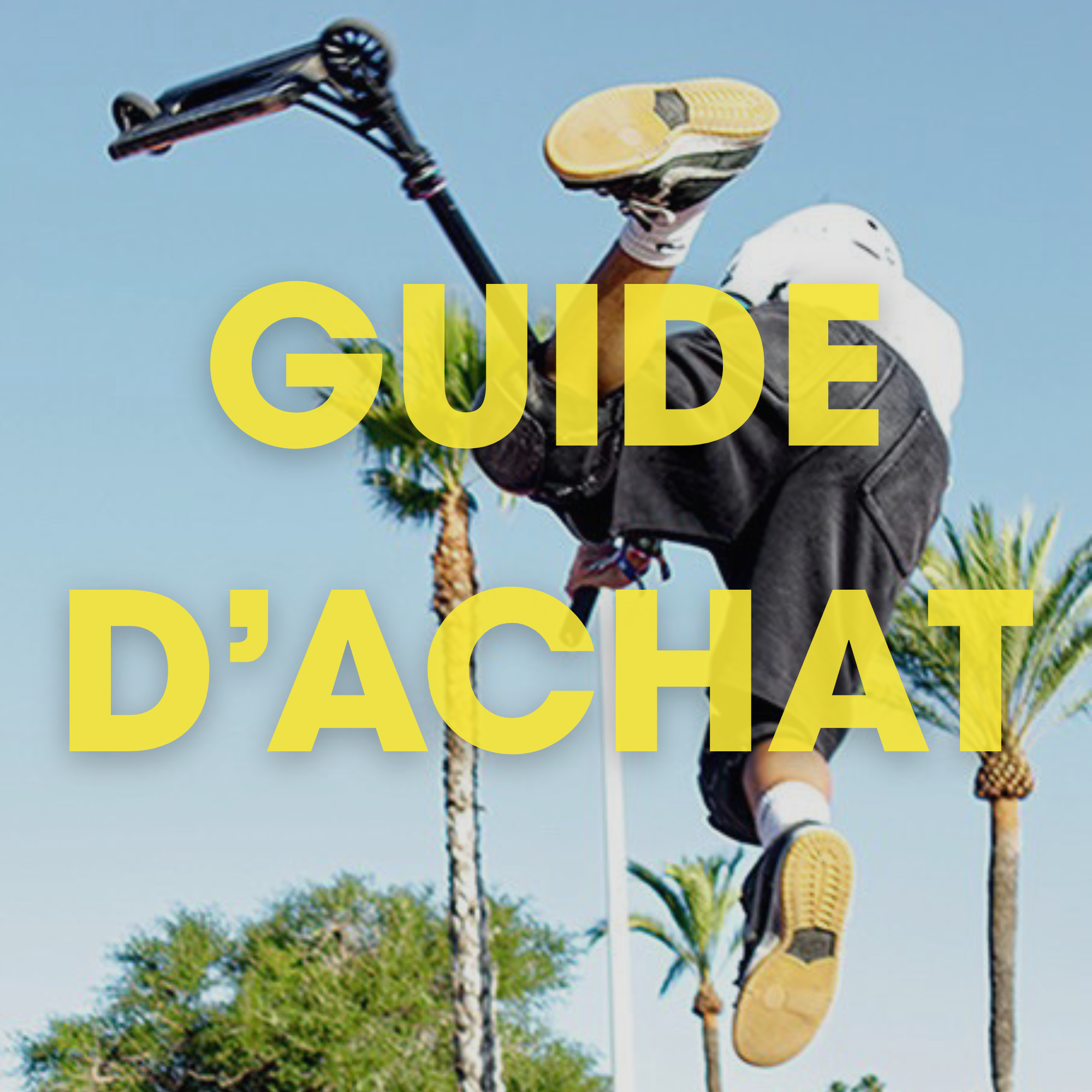 Guide d'achat LTS